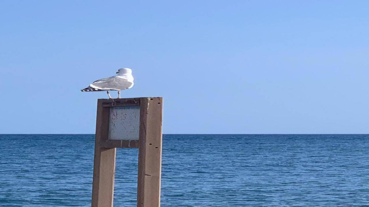Welooveyou Aqua Lajita Kültér fotó